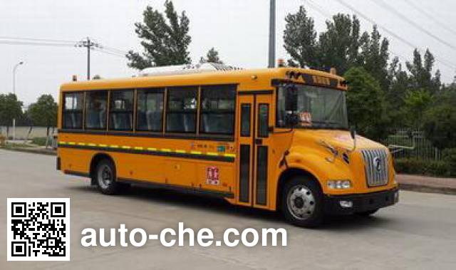 Dongfeng primary school bus DFH6920B3