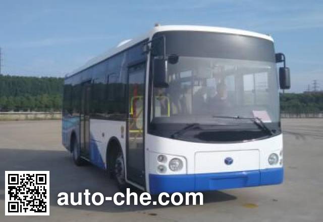 Yangtse electric bus WG6821BEVHK6