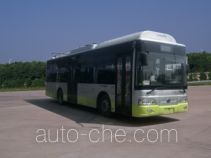 Электрический городской автобус Yangtse WG6100BEVH