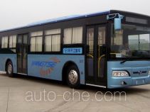Yangtse electric city bus WG6120BEVHM