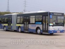 Yangtse city bus WG6160CHM4