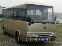 Yangtse electric city bus WG6650BEVH